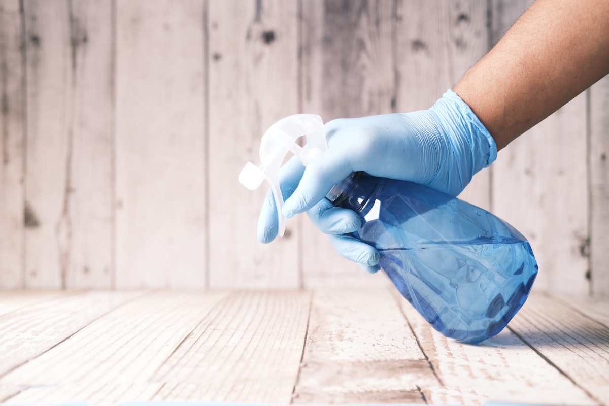 Mamoyo Maids domestic service team